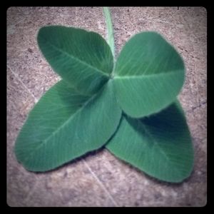 Hi! I'm Bea🐝All closet items are from my family.